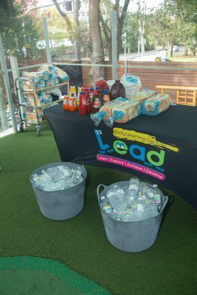 Lead Opening-019